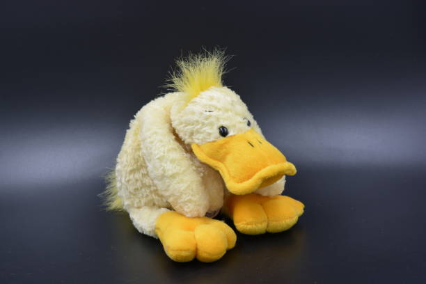anna club plush duck