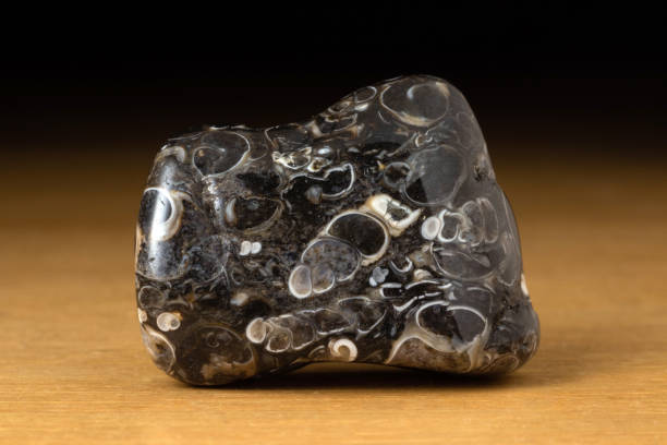 istock Turritella agate gemstone from Morocco over a wooden table 1225092495