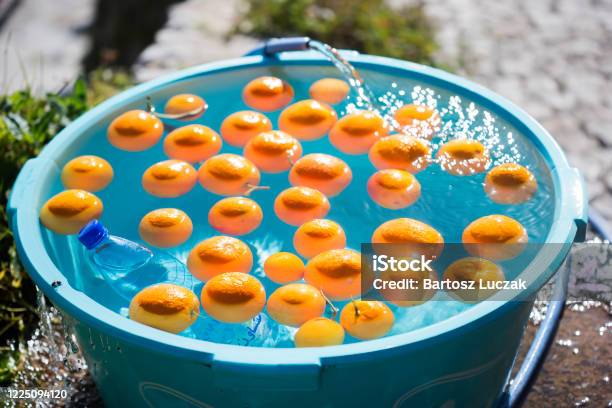 Beautiful Oranges Cooling In Bowl With Water Chefchouen Morocco Stock Photo - Download Image Now