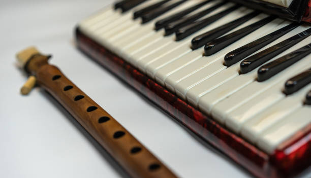 istock Duduk and accordion on a white background 1225095105