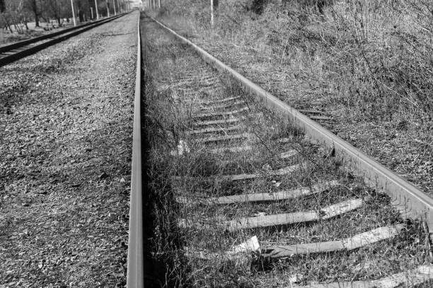 istock Overgrown rail road. Black and white photo. 1225095114