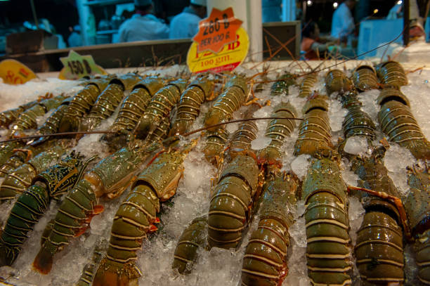istock Chilled lobster ready for cooking. 1225098264