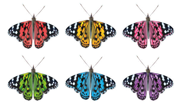 istock Flying colorful butterflies isolated on white background. 3D realistic beautiful butterflies. Biology. Beautiful illustration. 1225102524