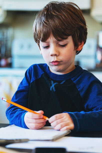 istock Homeschooling Boy In Primary Grade 1225102526
