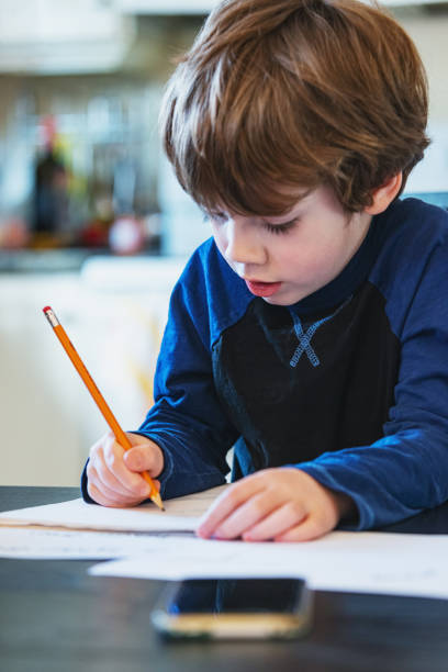 istock Homeschooling Boy In Primary Grade 1225102534