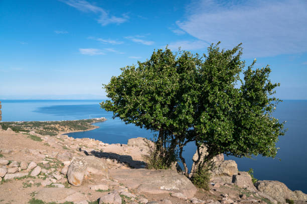 istock Athena Temple, Assos, Behramkale 1225105914