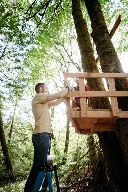 istock Father And Daughter Work in Backyard Tree Fort 1225106611