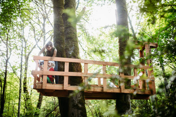 istock Mother And Daughter Work in Backyard Tree Fort 1225106616