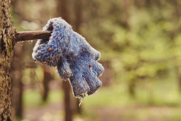 procure por pessoas desaparecidas na floresta, conceito. uma luva de criança perdida em um galho de árvore. procurando por crianças desaparecidas - meninos e meninas nos traços de roupas abandonadas - perdidos e achados - fotografias e filmes do acervo