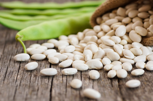 Uncooked dried white haricot beans in burlap sack with fresh raw green beans pod plant on rustic table. Heap of legume haricot bean background ( Phaseolus vulgaris )