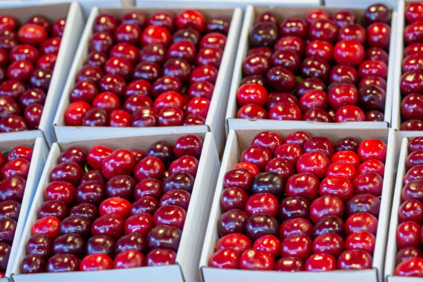 istock red cherries on a market stall. 1225113156
