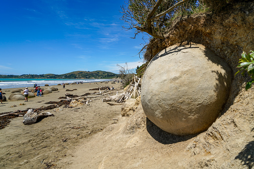 Tourists are walking on Moeraki Boulders beach, Hampden, Otago, South Island, New Zealand.