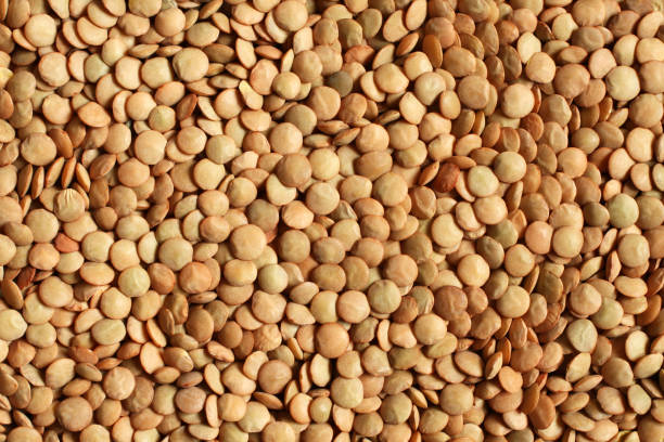 istock Dry organic green lentils. Food background. Macro. 1225114973