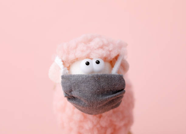 istock Toy lamb with face mask 1225116378