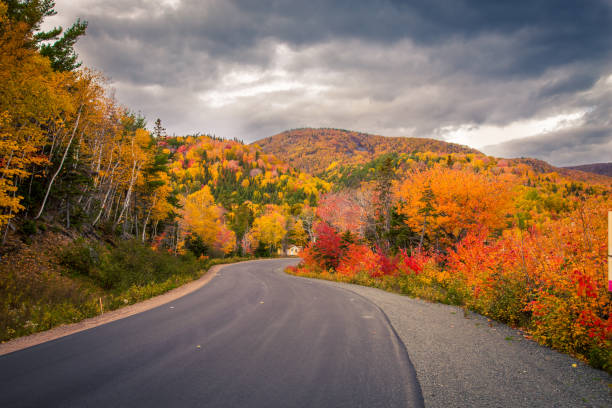 istock highway in Cape Breton in fall 1225119746