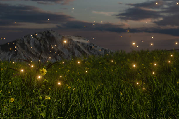 Flying glowworm over the grass field, 3d rendering.