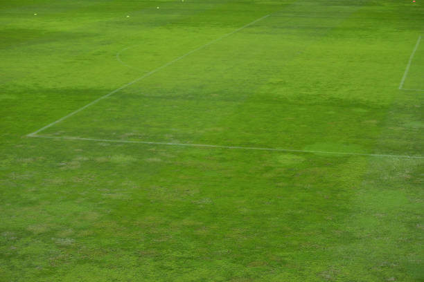 istock Green football field 1225126470