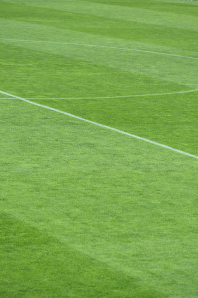 istock Green football field 1225126499