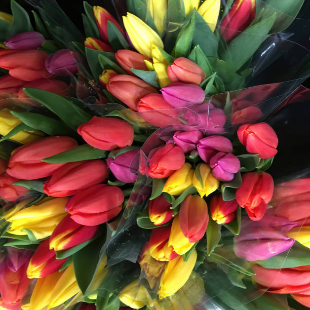 istock Bouquet of Tulips 1225131645