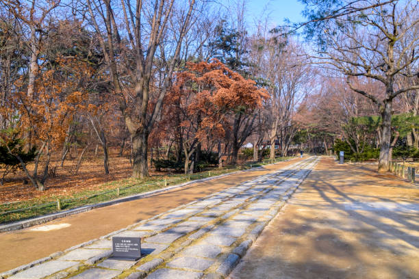 istock Seoul Jongmyo Shrine 1225144428