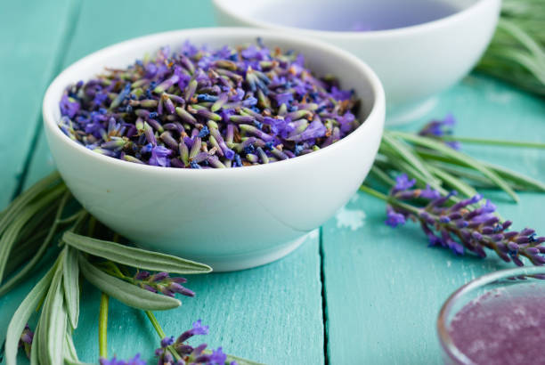 Lavender tea cup of lavender tea with a pile of fresh flowers, syrup, sugar candy on blue wood table background bud candy stock pictures, royalty-free photos & images