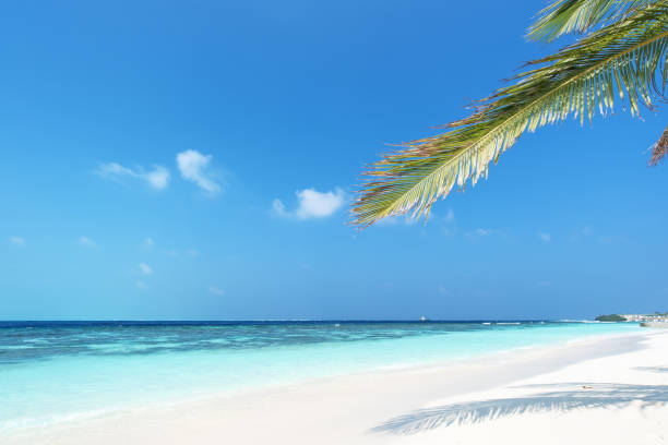 istock Exotic tropical beach scene for background or wallpaper 1225148052