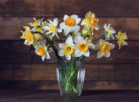 bouquet of yellow and white daffodils of different varieties in a glass vase. simple and terry narcissus.