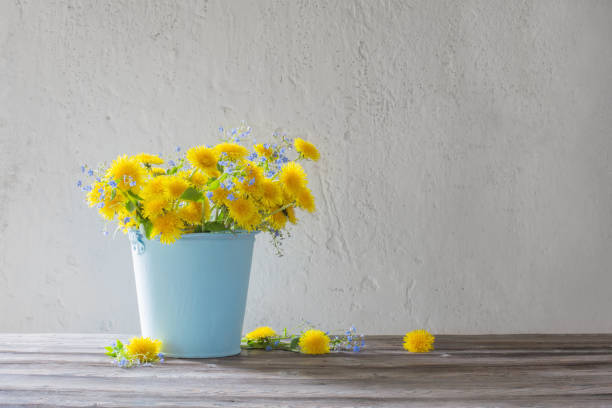 istock dandelions and forget-me-nots on background white wall 1225148461