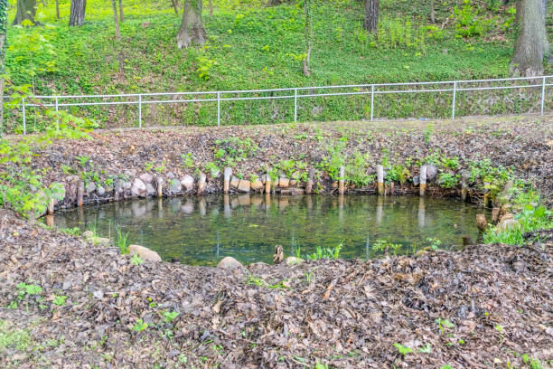 Photo showing a small, narrow stream flowing through landscaped ornamental gardens.  This artificial, man-made stream has been constructed by using a pond liner topped with stones / crazy paving, which have been concreted / cemented into place to hide the liner from view.  The stream flows to a large pond, via a small and very gentle waterfall.
