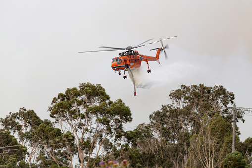 Bundoora, Australia - December 30, 2019: Erickson Air Crane helicopter dropping a large load of water onto a bushfire.