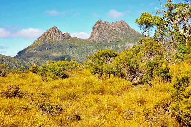 istock Cradle Mountains, Tasmania 1225151720