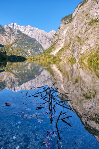 el hermoso obersee en los alpes bávaros - alm bavaria mountain summer fotografías e imágenes de stock