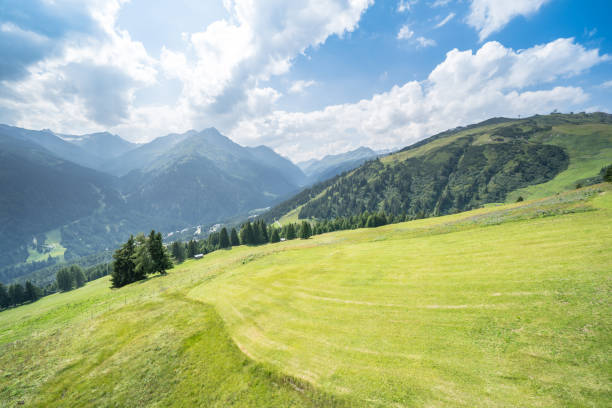 istock Idyllic summer landscape in the Alps 1225153889