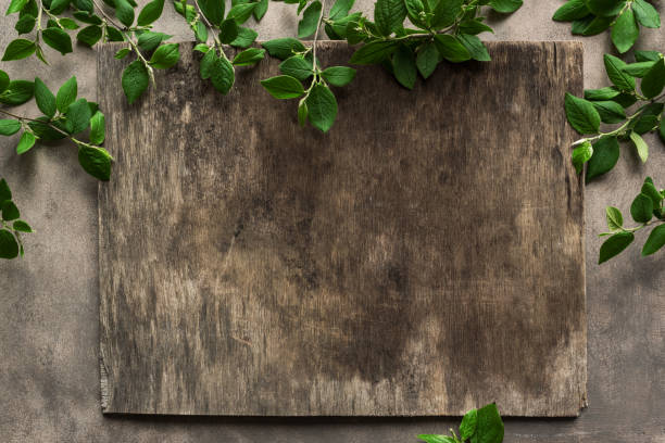 istock Green leaves on old background 1225155544