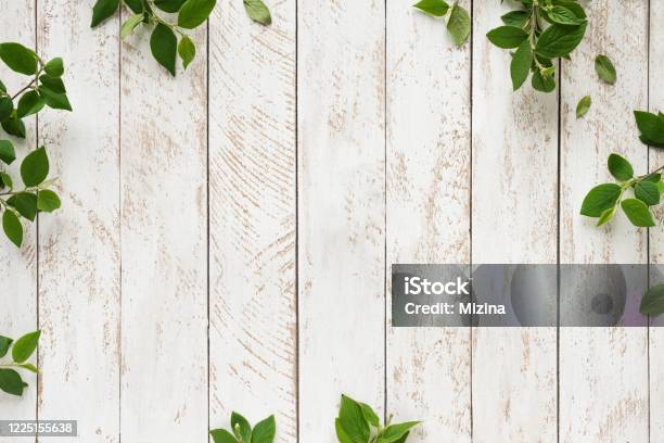 Grüne Blätter Auf Weiß Stockfoto und mehr Bilder von Bildhintergrund - Bildhintergrund, Holz, Tisch