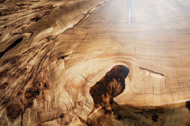 istock Wood surface cross section of elm tree. Live slab texture. Solid elm wooden table with epoxy resin filling. Wood countertop. Woodworking, carpentry, furniture production. Shallow depth of field. 1225158314