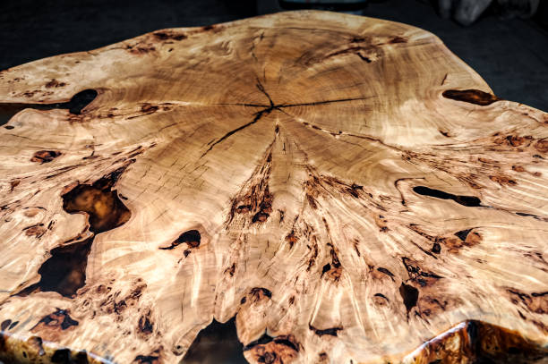 istock Wood surface cross section of elm tree. Live slab texture. Solid elm wooden table with epoxy resin filling. Wood countertop. Woodworking, carpentry, furniture production. Shallow depth of field. 1225158337