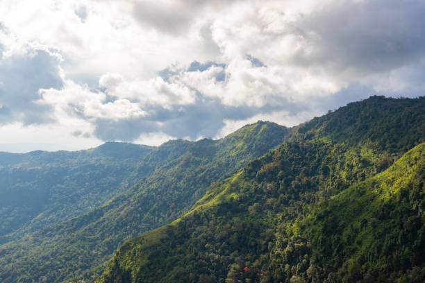 istock Landscape nature in Phu Thap Boek Thailand. 1225159229
