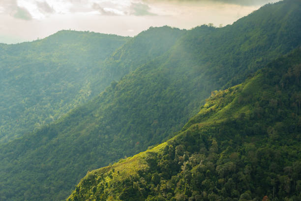 istock Landscape nature in Phu Thap Boek Thailand. 1225159253