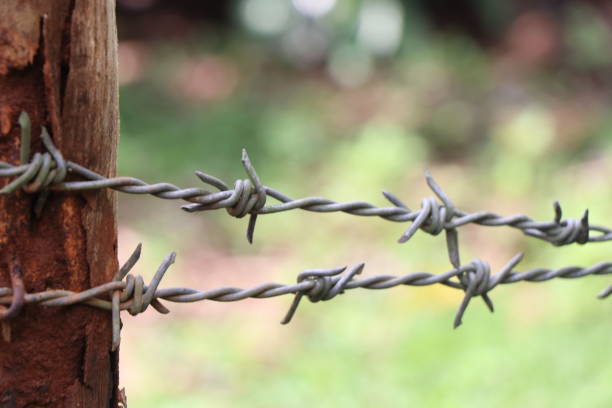 wood which is supporting barbed wire fence - barbed wire rural scene wooden post fence imagens e fotografias de stock