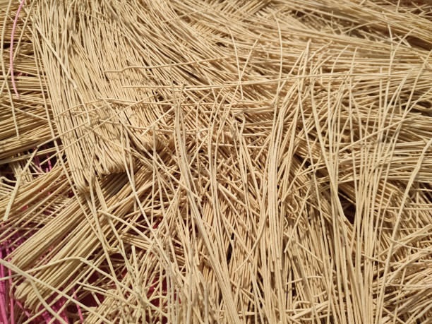 istock Wheat flour noodles closed on full texture background macaroni 1225165390