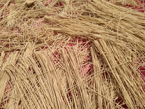 istock Wheat flour noodles closed on full texture background macaroni 1225165866