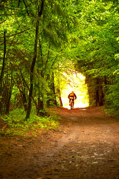 cycling in the forest