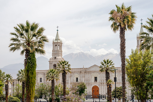 palm trees and white stone church at famous Plaza de Armas in Arequipa city, Peru