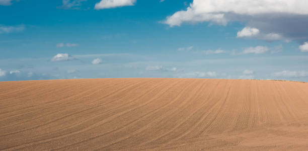istock Rows of soil before planting and beautiful blue sky 1225171494