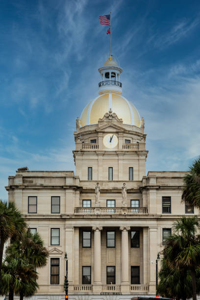 istock Savannah City Hall Between Palm Trees 1225173427