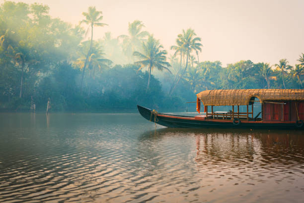 House boat anchored in lake with jungle background, Backwaters, Kerala, India A traditional house boat is anchored on the shores of a fishing lake in the palm tree jungle at sunset, in the Backwaters, a popular destination for yoga retreats and nature lovers in Kerala, India kochi india stock pictures, royalty-free photos & images