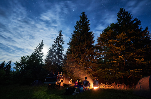 Group of friends sitting around a bonfire on a green mountain meadow surrounded by spruce trees under starry sky