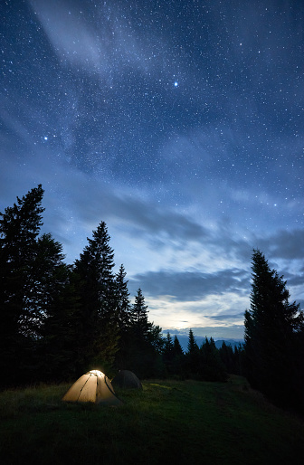 Vertical snapshot of a peaceful summer night in the mountains, magical sky full of stars over high tops of spruce trees and illuminated tent in the middle of mountain glade. Starry night concept