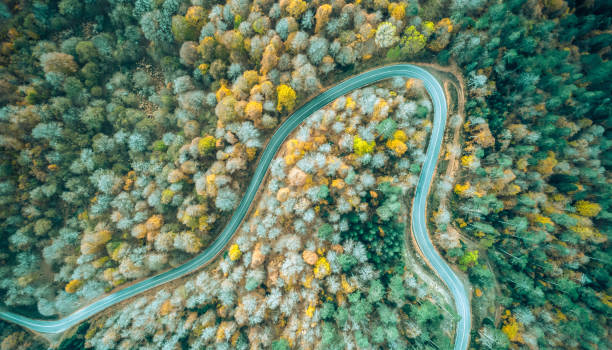 istock Autumn Forest Road from a Drone, Yedigoller Bolu 1225177467